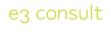 e3 Consulting